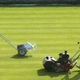 Illustration for article titled Wimbledon Grounds Crew Frustrated After Learning About Cement Courtsem/em